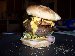 Fatty will appreciate this one - a while back, Stacy was fryin' up some luscious Stacyburgers, and I looked at my usual 2/3 lb. patty. 