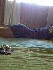 One of my hottie friends just sent this to me. For those of you bootie lovers, this is a Jessica Biel-esque ass.