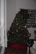 I thought I'd break the monotony and add a picture of our first Christmas Tree.  Merry Christmas, Motherfuckers!