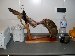 you guys don't know nutin bout the black-footed jamon style.