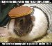 I happened upon this pic which I feel is appropriate for the bulk of Big Fatty's posts.